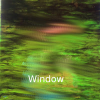 Glasplatte Dunkler Wald Irisiert