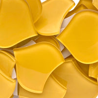 Große Fischschuppe Mais