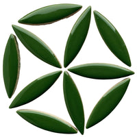 Ceramic Ellipse Eucalyptus