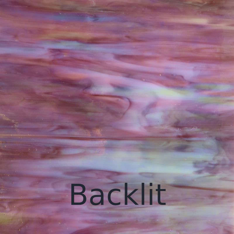 Glass Plate Hyacinth