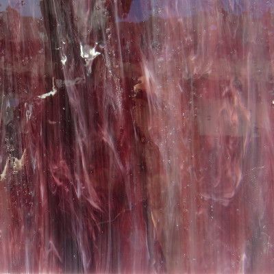 Glass Plate Shrinking Violet 