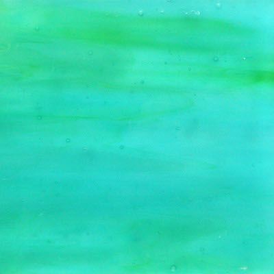 Glass Plate Parrotfish