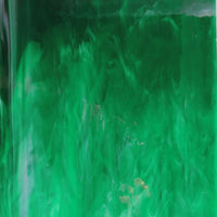 Glass Plate Fern Wispy