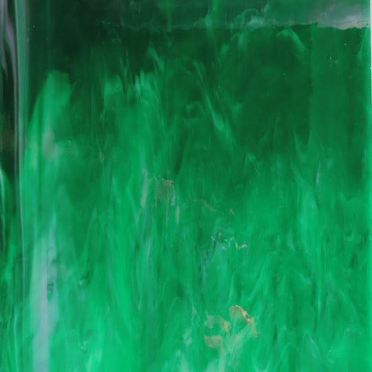 Glass Plate Fern Wispy