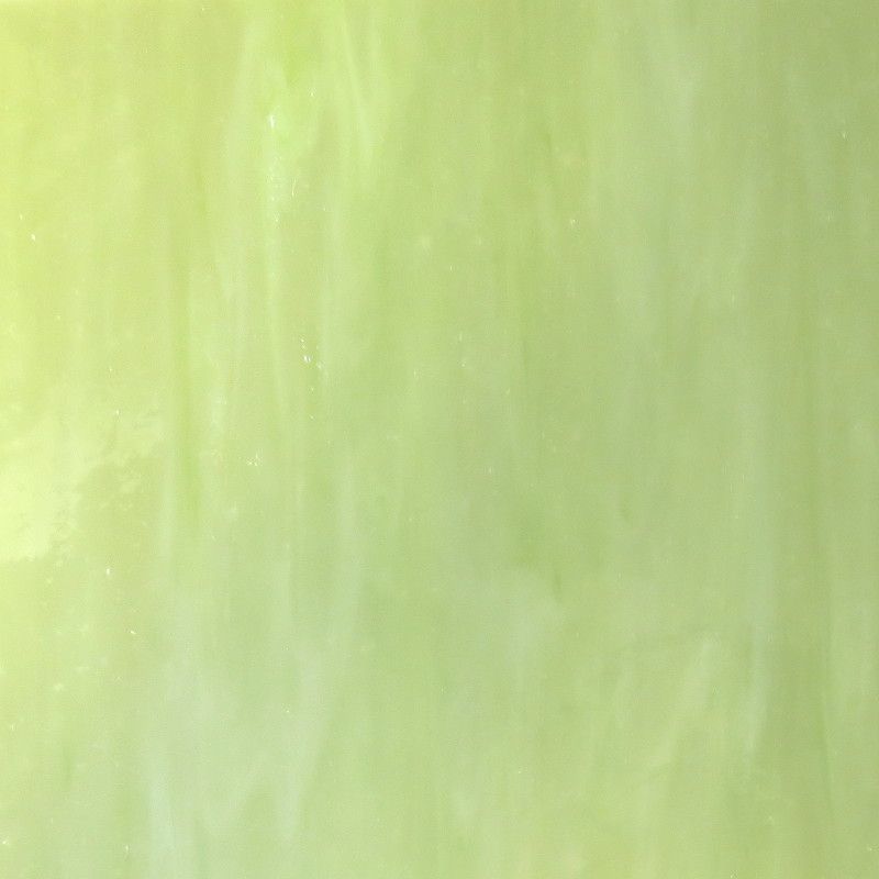 Glass Plate Tender Shoots