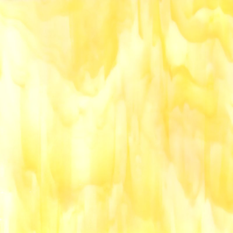 Glass Plate Buttercup