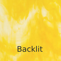 Glass Plate Buttercup