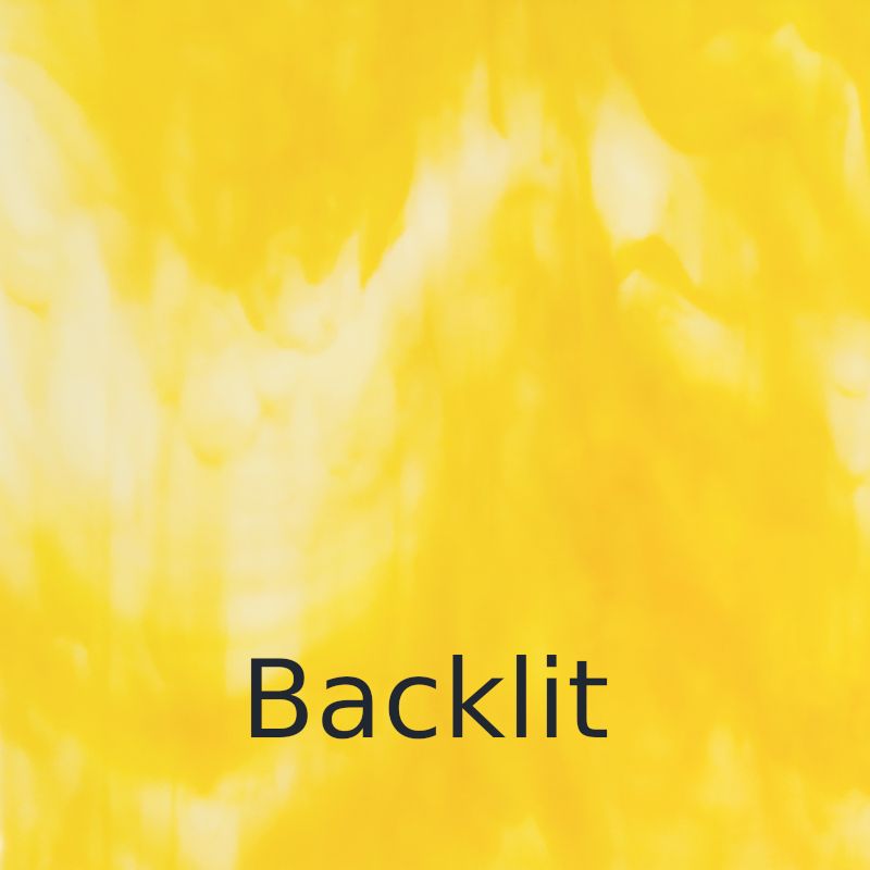 Glass Plate Buttercup