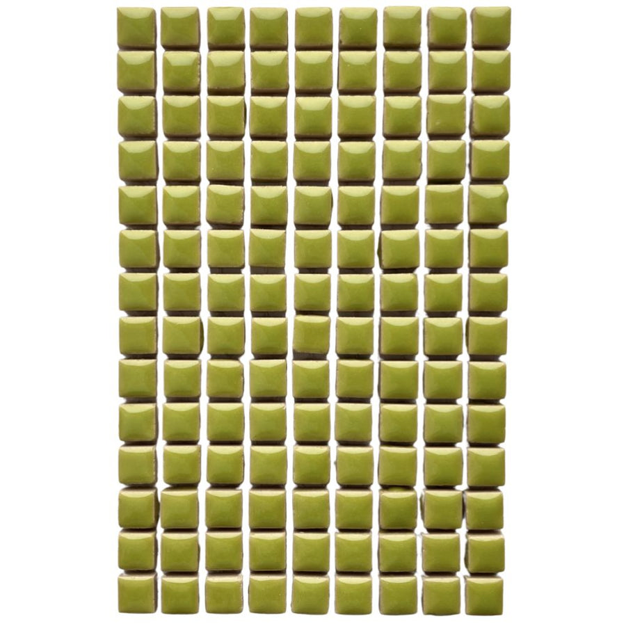 Mini Glazed Ceramic 10mm  Kiwi