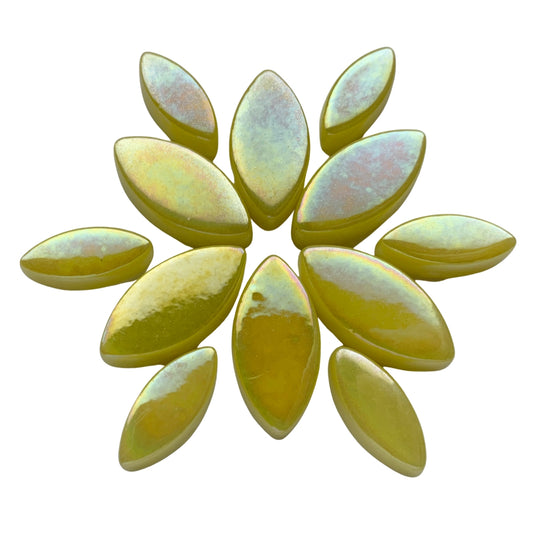 Petals  Iridised Yellow