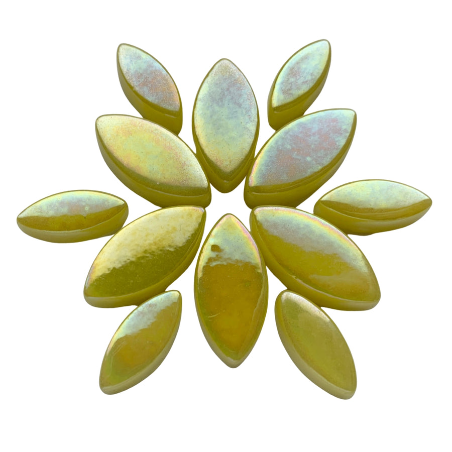 Petals  Iridised Yellow