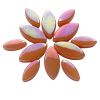 Petals  Iridised Apricot