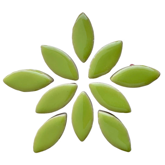 Mosaiksteinen Elipsenform 25mm  Kiwi