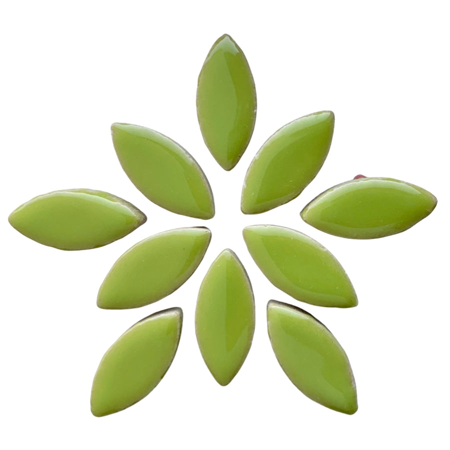 Mosaiksteinen Elipsenform 25mm  Kiwi