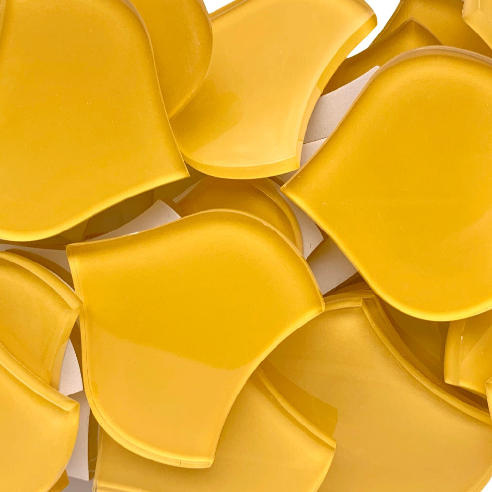 Große Fischschuppe Mais