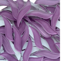 Gewellte Blütenblätter Orchidee