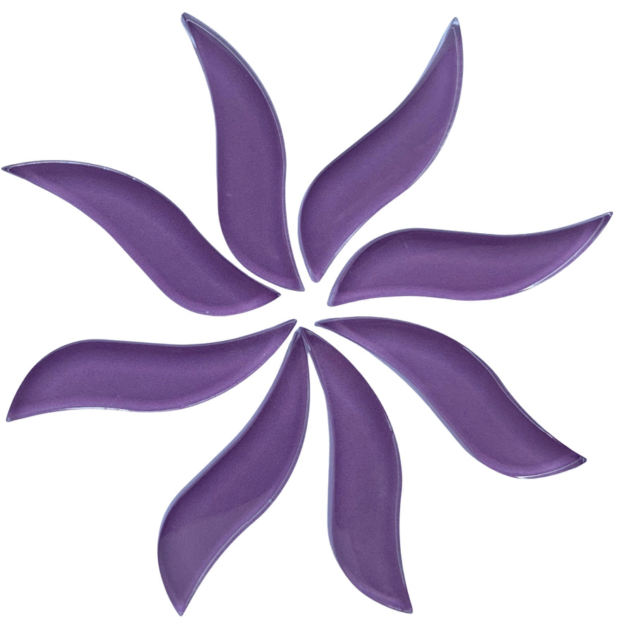 Gewellte Blütenblätter Orchidee