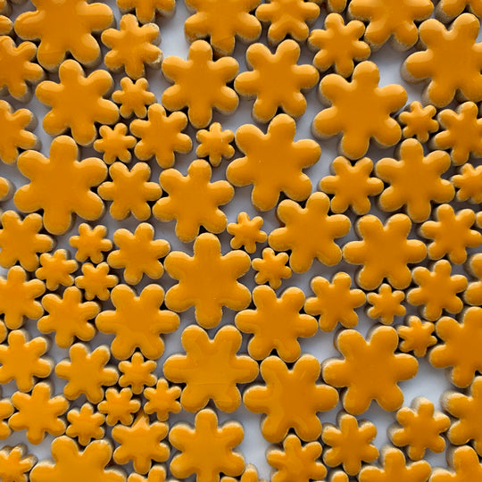 Charms Flowers Curry