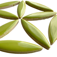 Ceramic Ellipse  Kiwi