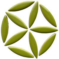 Ceramic Ellipse  Kiwi