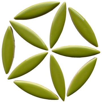 Ceramic Ellipse  Kiwi