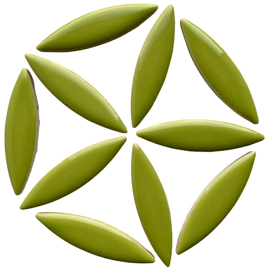 Ceramic Ellipse  Kiwi