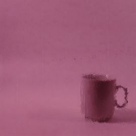 Glasplatte Dämmerige Rose