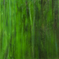 Glasplatte Waldgrüne Textur