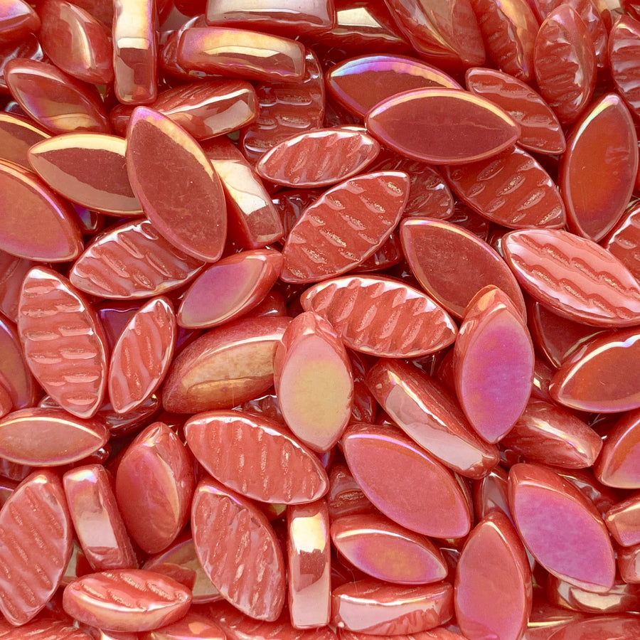 Petals Iridised Watermelon