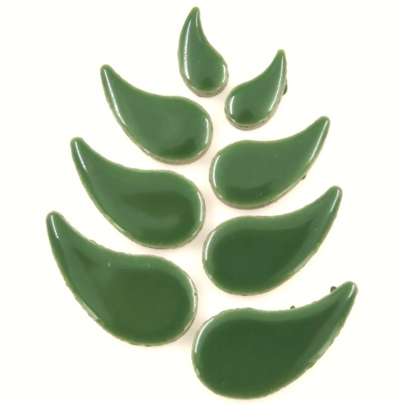 Raindrop Eucalyptus