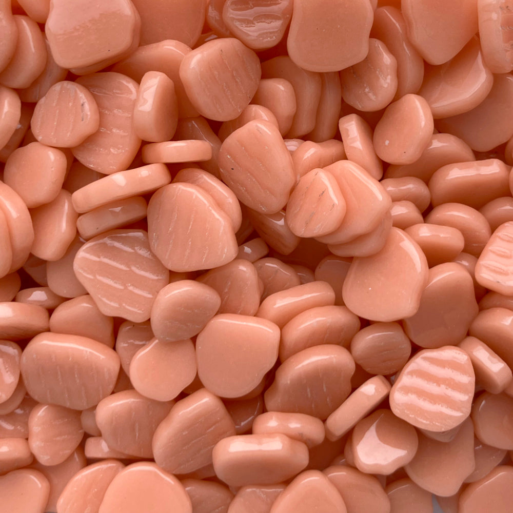 Sakura Blossom Aprikose