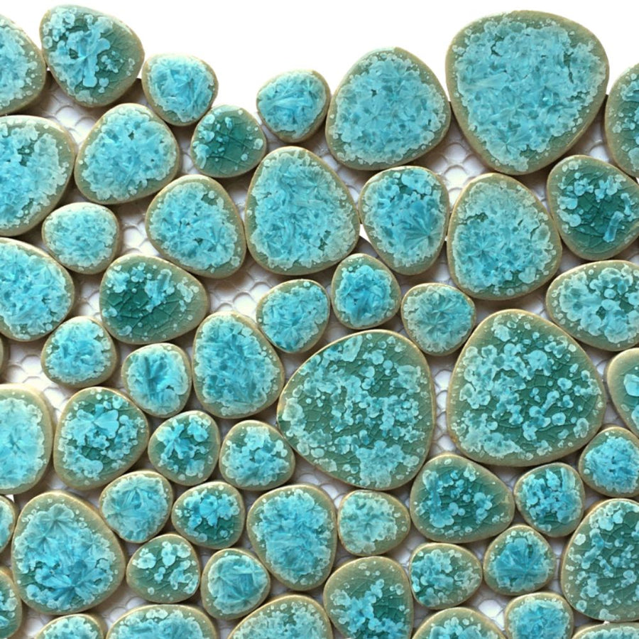 Galets Japonais  Pacific Beach