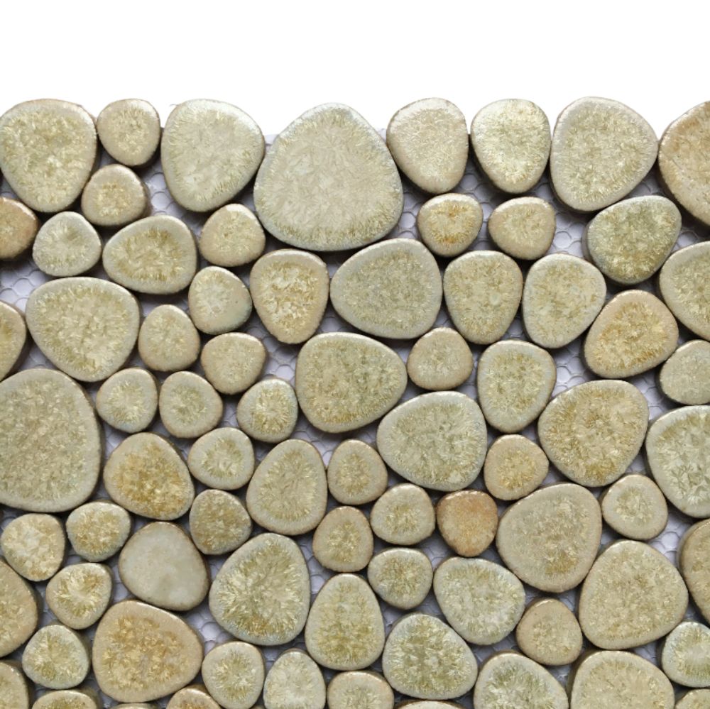 Galets Japonais  Cockles