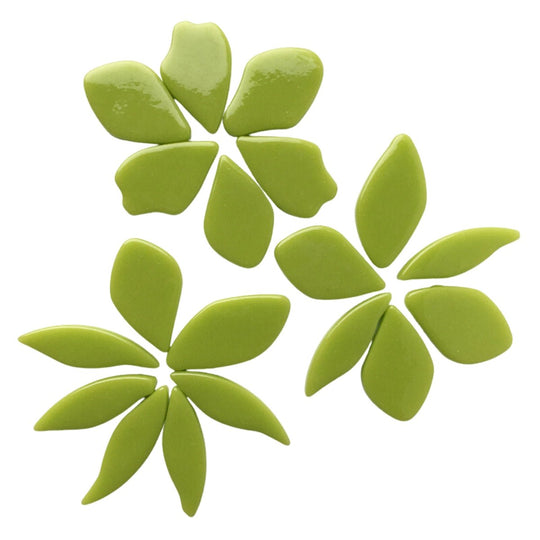 Fallen Petals New Green