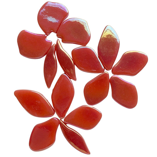 Gefallene Blütenblätter Perle  Wassermelone