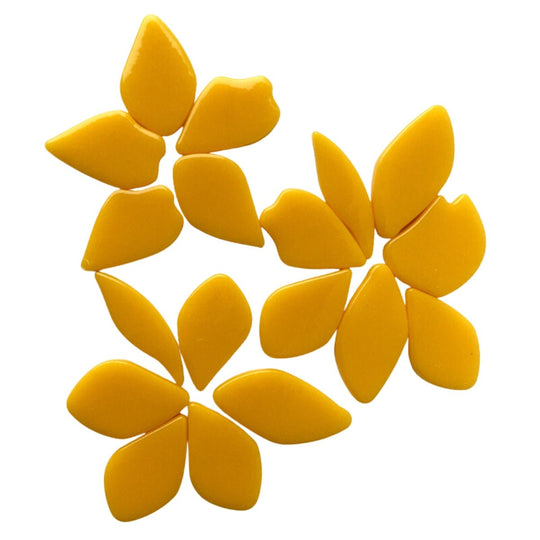 Fallen Petals Warm Yellow