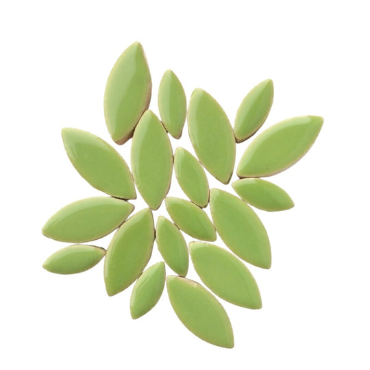 Ceramic Petals  Kiwi