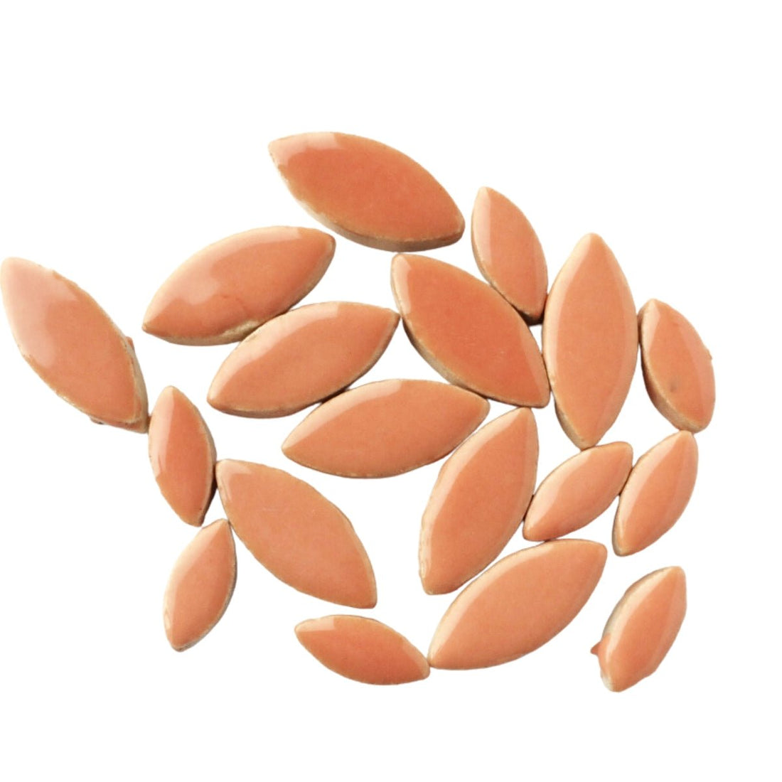 Verre Mosaique - glass mosaic -Glasmosaik-glasmozaïek-Bloemblaadjes Zalm - mosaicshop