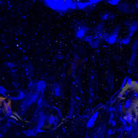 Verre Mosaique - glass mosaic -Glasmosaik-glasmozaïek-Gekleurde Spiegel Kobalt - mosaicshop