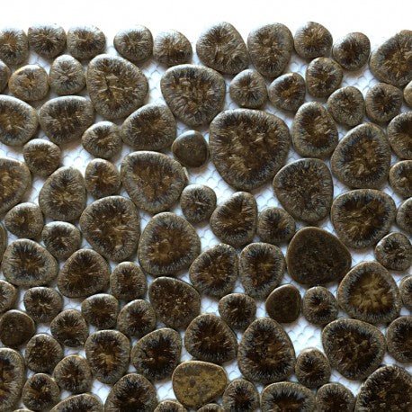 Verre Mosaique - glass mosaic -Glasmosaik-glasmozaïek-Kiezels Schors - mosaicshop