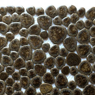 Verre Mosaique - glass mosaic -Glasmosaik-glasmozaïek-Kiezels Schors - mosaicshop