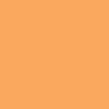 Verre Mosaique - glass mosaic -Glasmosaik-glasmozaïek-Mosa-18940 Abrikoos 15cm - mosaicshop