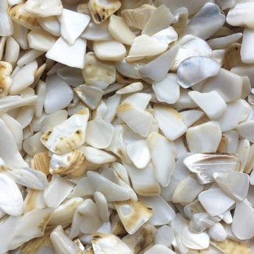 Verre Mosaique - glass mosaic -Glasmosaik-glasmozaïek-Parelmoer Schelp Polygoon - mosaicshop