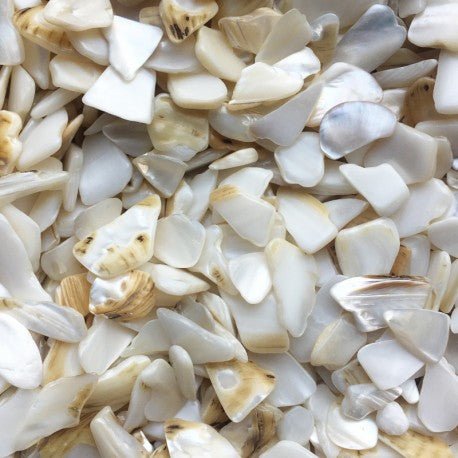 Mother Of Pearl Polygon